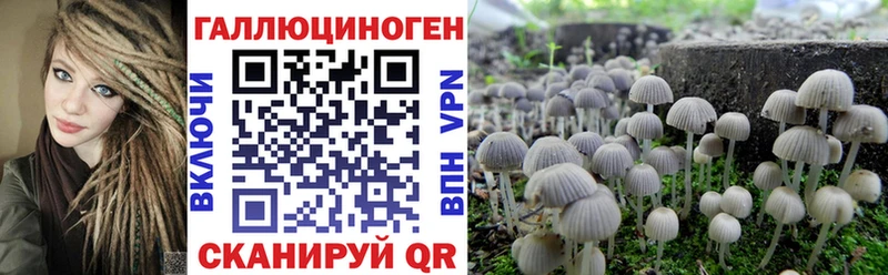 Галлюциногенные грибы Magic Shrooms  Сухой Лог 